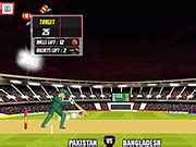 Hit boundaries and score runs in Cricket games on Y8!.